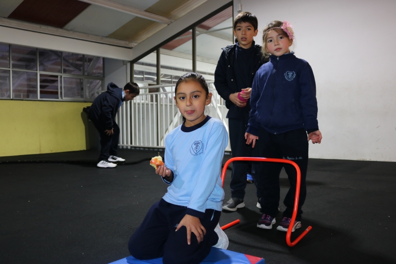 Día de la Actividad Física